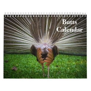 2027 Hintern Kalender