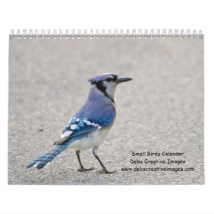 2027 Hudson Valley Songbirds, Wildlife-Fotografie Kalender