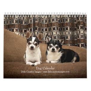 2027 Hunde Beste Freunde in jeder Jahreszeit Kalender