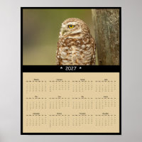 2027 Kalender mit Erdbohr-Eulen - Kleiner Entdecke
