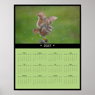 2027 Kalender mit Erdbohr-Eulen - Neugieriger Beob Poster