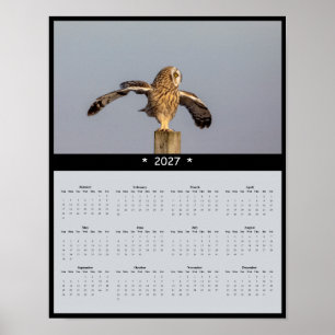 2027 Kalender Sumpfohreule - Stiller Flug Poster