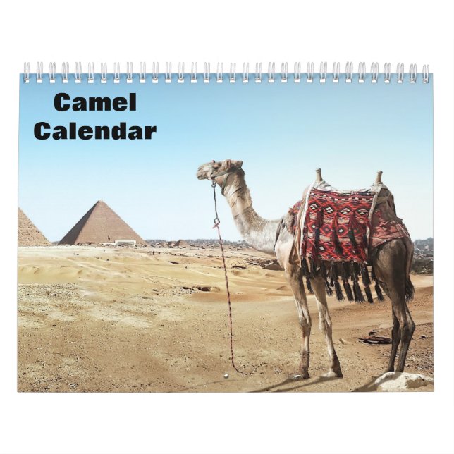2027 Kamel-Kalender Kalender (Titelbild)