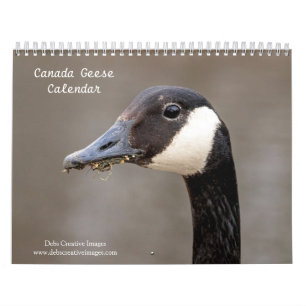 2027 Kanadagänse Familien- & Wildtierfotografie Kalender