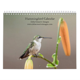 2027 Kolibris Winzige Juwelen der Natur Kalender
