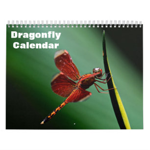 2027 Libellen-Kalender Kalender