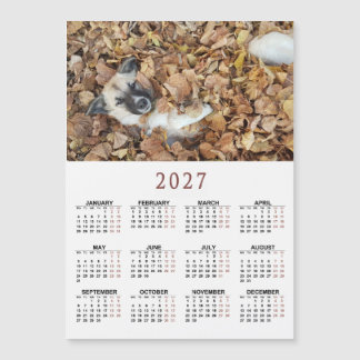 2027 Magnetkalender mit Ihren Tieren Magnetkarte