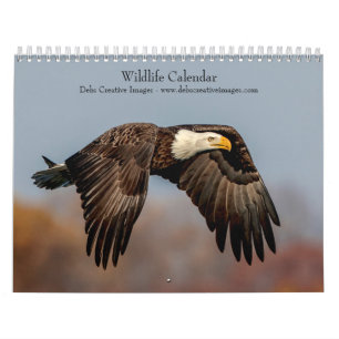 2027 Nordamerikanische Tierwelt Naturfotografie Kalender