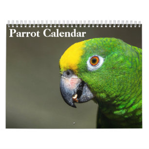 2027 Papageien-Kalender Kalender