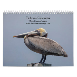 2027 Pelikane Floridas Küstenwildtiere Kalender