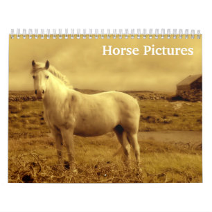 2027 Pferdebilder Bilder Kalender