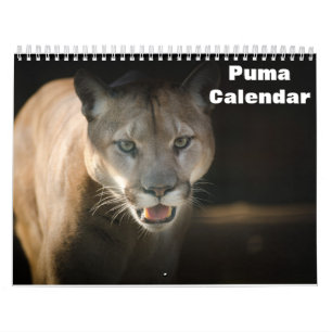 2027 Puma Kalender