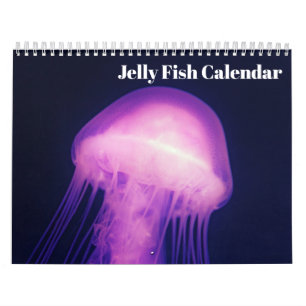 2027 Qualle-Kalender Kalender
