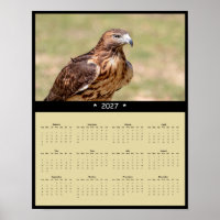2027 Roter Milan Wandkalender - Raubvogel