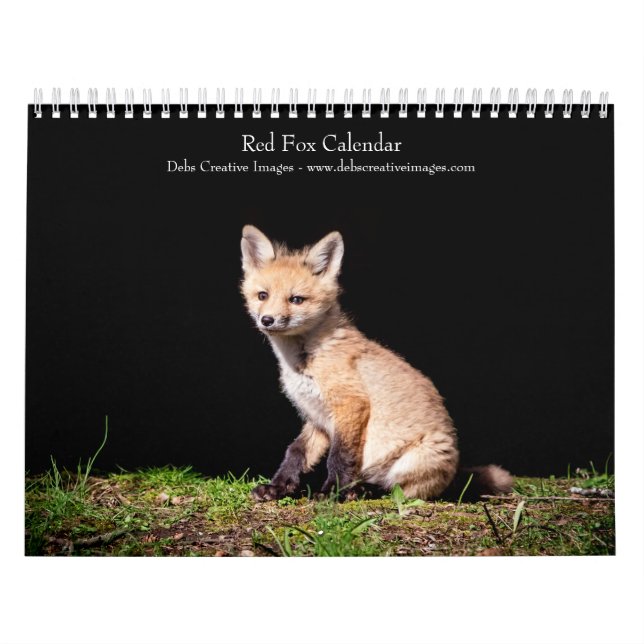 2027 Rotfüchse | Waldtiere Fotografie Kalender (Titelbild)