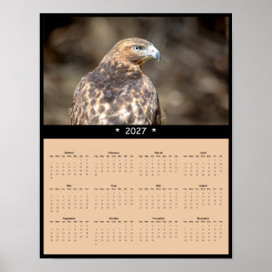 2027 Rotschwanzbussard-Wandkalender - Wild Horizon Poster