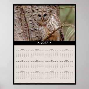 2027 Schleiereulen-Wandkalender - Waldklänge Poster
