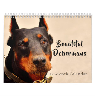2027 Schöne Dobermänner Kalender