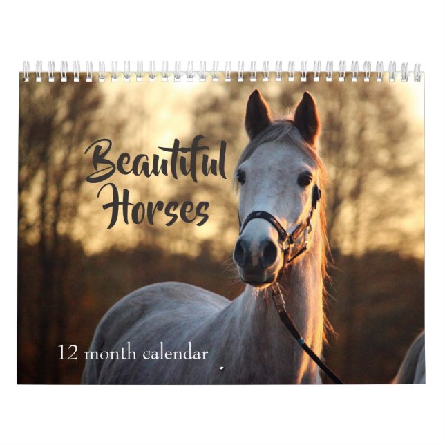 2027 Schöne Pferde Kalender (Titelbild)