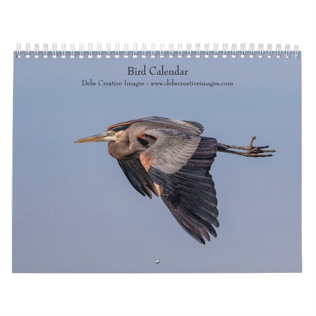 2027 Schöne Vögel | Tierfotografie Kalender (Titelbild)