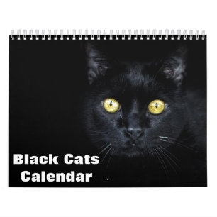 2027 Schwarzkatzen-Fotokalender Kalender