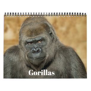2027 Signature Twycross Zoo Gorilla-Familie Kalender