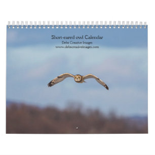 2027 Sumpfohreule Grasland Eulenfotografie Kalender