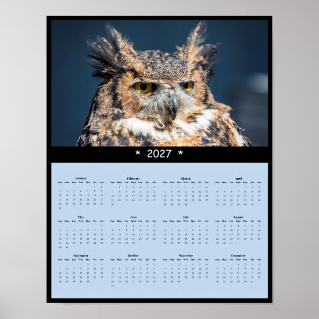 2027 Uhu-Wandkalender - Durchdringender Blick Poster (Vorne)