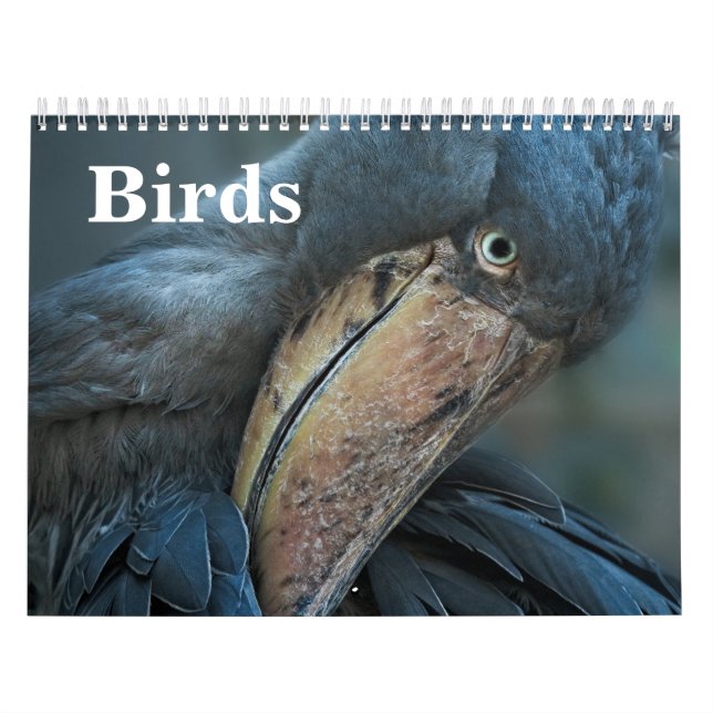 2027 Vögel Kalender (Titelbild)