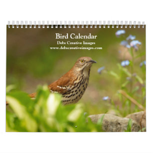 2027 Vögel vieler Federn Nordamerikanische Vögel Kalender