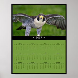 2027 Wanderfalken-Wandkalender Poster