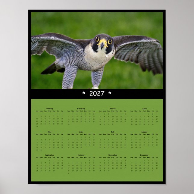 2027 Wanderfalken-Wandkalender Poster (Vorne)