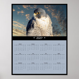 2027 Wanderfalken-Wandkalender Poster