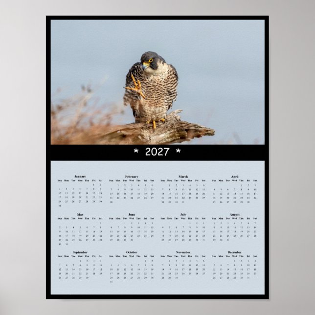 2027 Wanderfalken-Wandkalender - Speed Master Poster (Vorne)