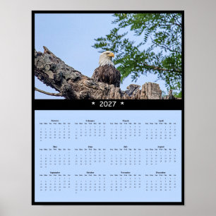 2027 Weißkopfseeadler-Wandkalender - Schwebegeist Poster