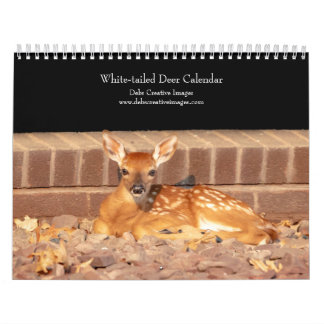 2027 Weißwedelhirsche | Hudson Valley Wildlife Kalender