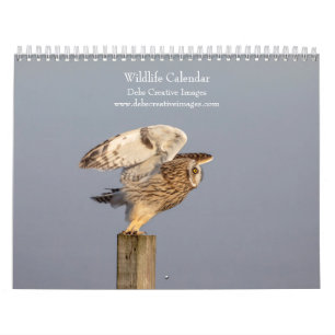 2027 Wildlife-Abenteuer Naturfotografie Kalender