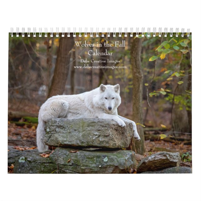 2027 Wölfe im Herbst | Herbst-Wolf-Fotografie Kalender (Titelbild)
