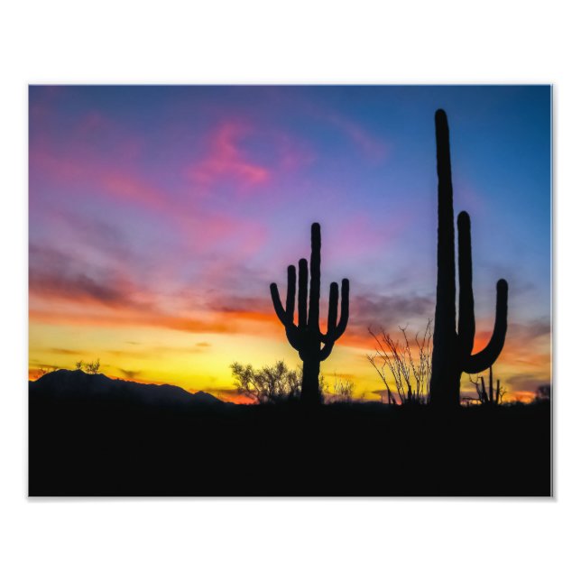 2034-2-Wüste Arizona bei Sonnenuntergang mit Kaktu Fotodruck (Vorne)