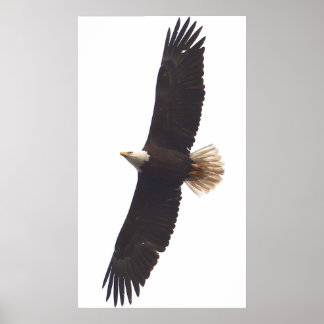 20. April 2025 Poster