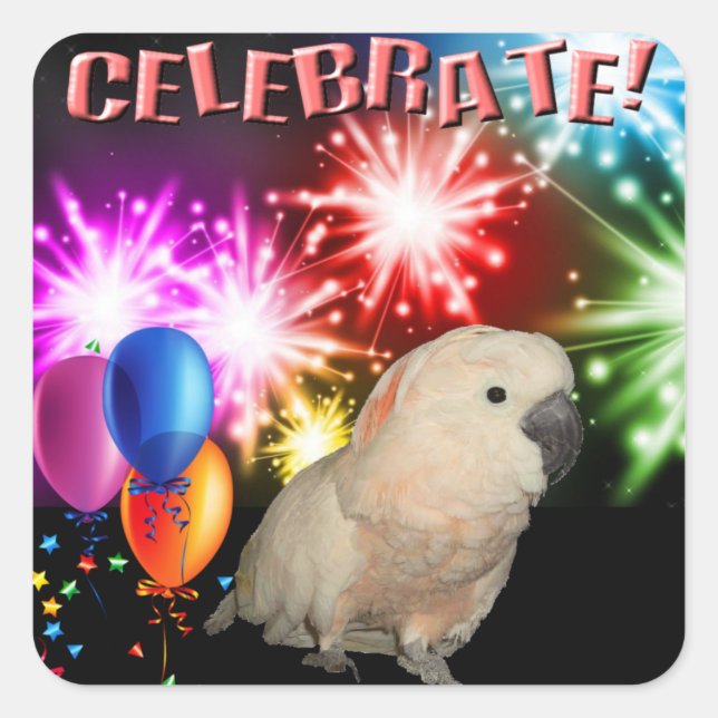 20 stickers Cockatoo Moluccan (Devant)