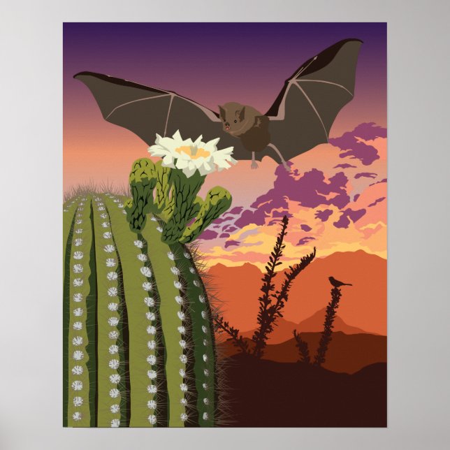 20"x16" Südwest-Bat und Saguaro Poster (Vorne)