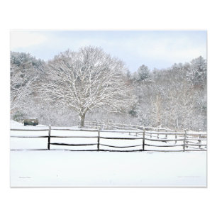 20 x 16 Walden Woods Project Farm Foto Print
