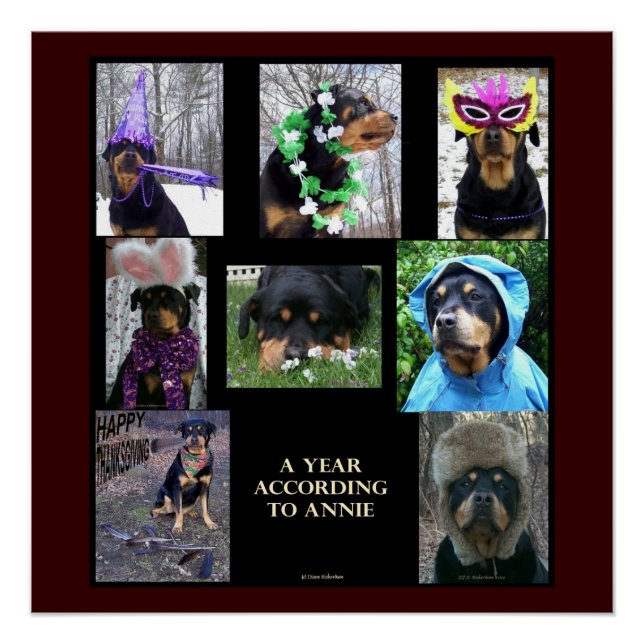 20 X 20" affiche "Une année selon Annie" (Devant)