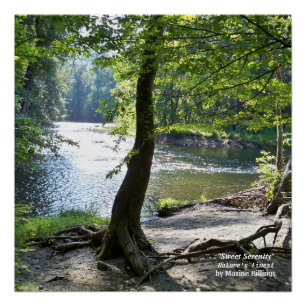 20" x 20", Plakat (Halb-Glanz) Poster