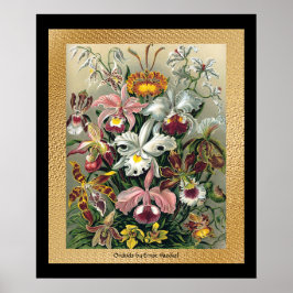 20 x 24 Schwarz und Gold Poster