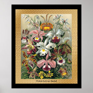 20 x 24 Schwarz und Gold Poster