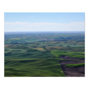 20X16 Die sanften Rollen von Palouse Hills Fotodruck