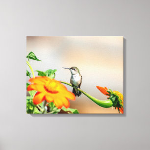 20x16 Hummingbird auf einer blühenden Pflanze Leinwanddruck