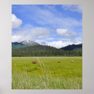 20x24 Poster Paper (Matte) de grizzlis